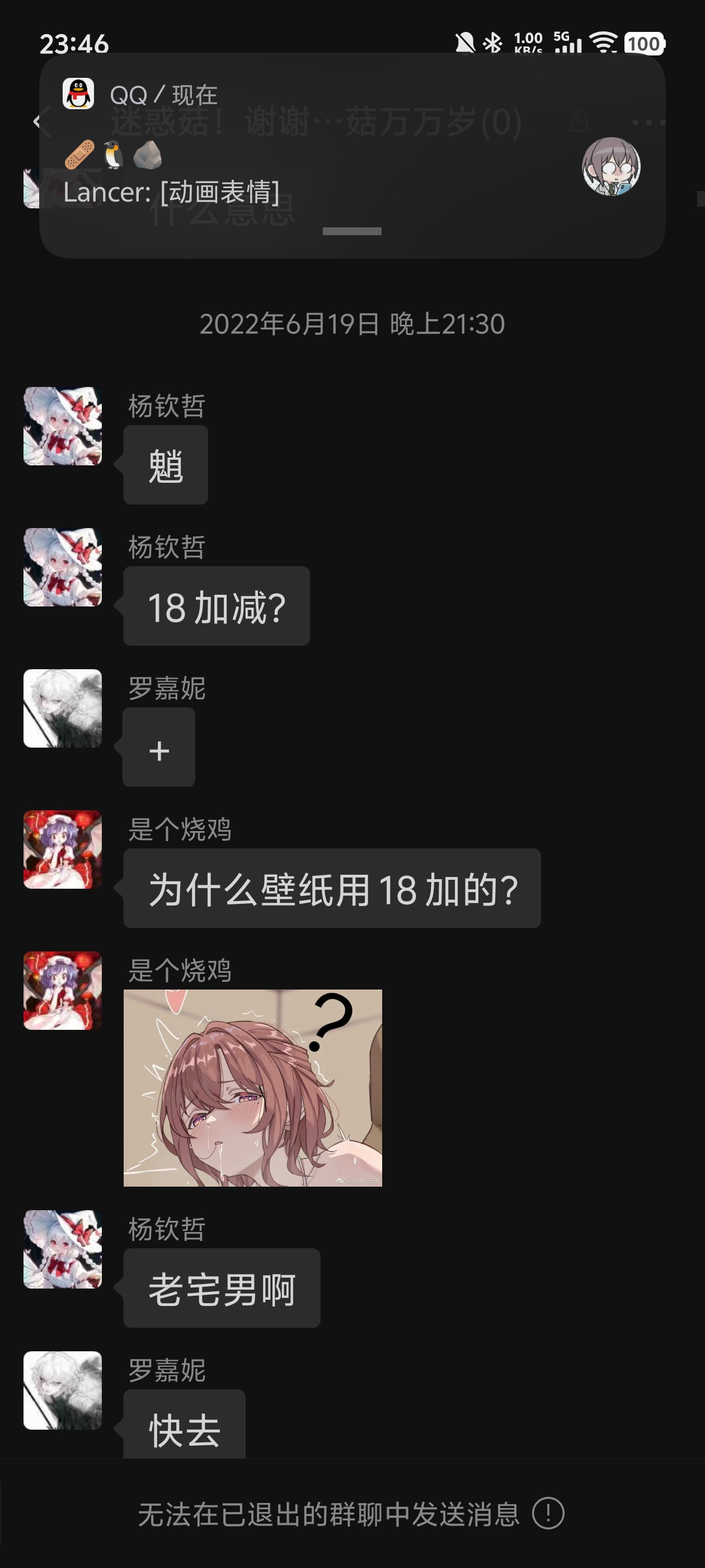 群聊内交流实录